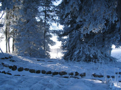 Frost on Red Lake Ontario
